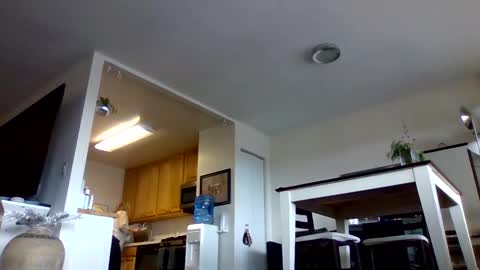 Snapshot of bigjoed233 chatting on 01.10.26 bigjoed233 online show from 01.10.26