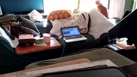 bigmanaround9 online show from 02.03.25