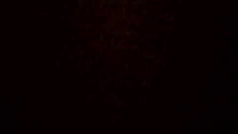 Snapshot of bigmike5081 chatting on 12.01.25 bigmike5081 online show from 12.01.25