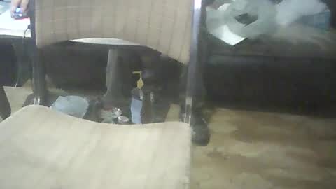 bigpenix online show from 10.17.25