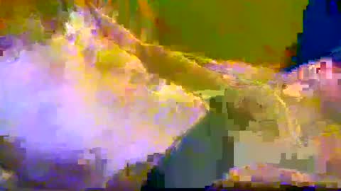 Snapshot of bigrigxxxx chatting on 12.10.24 bigrig online show from 12.10.24