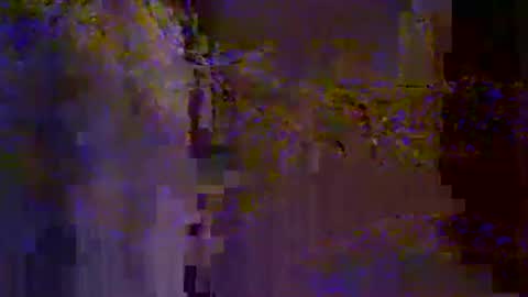 Snapshot of bigrigxxxx chatting on 01.19.25 bigrig online show from 01.19.25