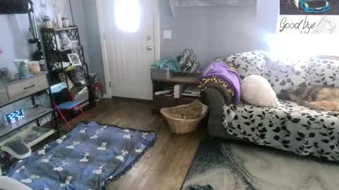 Skittles online show from 02.24.26