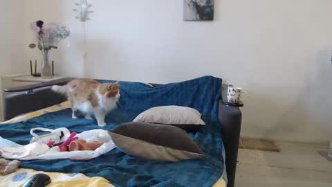 BigTwinsOmg online show from 03.16.26