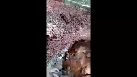 bigwalkdog420 online show from 12.25.24