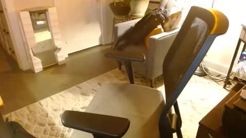 Jeff online show from 03.29.26