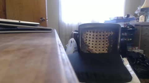 Snapshot of bimbttm chatting on 12.19.24 Bimbttm online show from 12.19.24