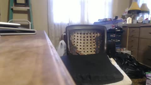 Snapshot of bimbttm chatting on 12.20.24 Bimbttm online show from 12.20.24