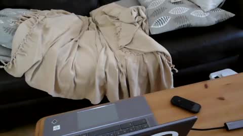 bindmedown online show from 01.17.25