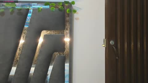 B L A C K  R O S E  online show from 01.30.25