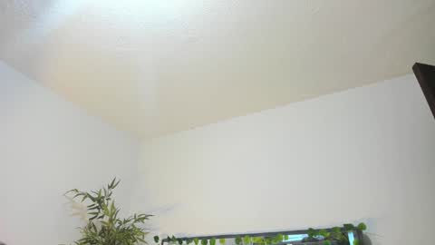 B L A C K  R O S E  online show from 01.31.25