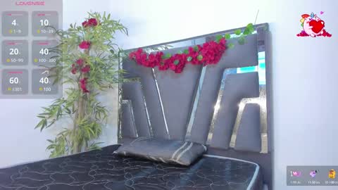 B L A C K  R O S E  online show from 02.19.25