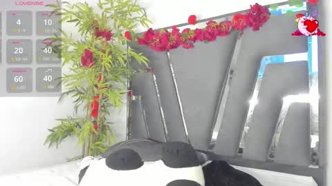 B L A C K  R O S E  online show from 03.06.25