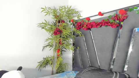 B L A C K  R O S E  online show from 03.12.25