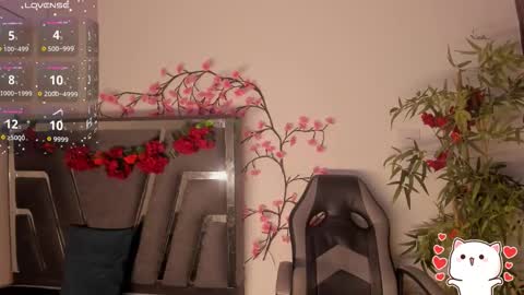 B L A C K  R O S E  online show from 10.12.25