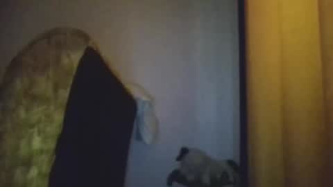 black african online show from 11.20.25