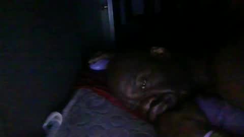 Snapshot of blackteddybear chatting on 02.18.26 blackteddybear online show from 02.18.26