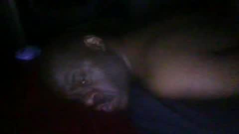 Snapshot of blackteddybear chatting on 02.19.26 blackteddybear online show from 02.19.26