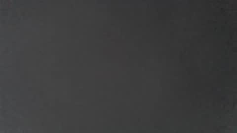 blacktights1 online show from 03.17.26