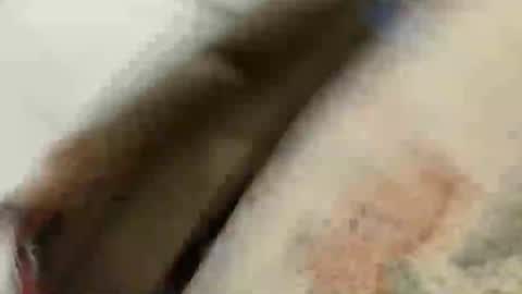 BlakeAndSkylar online show from 05.22.26