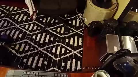 Blackjag00 online show from 02.19.25