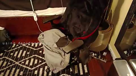 Blackjag00 online show from 03.05.25