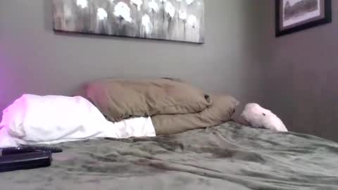 blazeentertainment2025 online show from 02.21.26