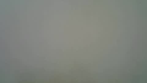 Snapshot of blesse_mixed chatting on 11.11.25 Black brown online show from 11.11.25