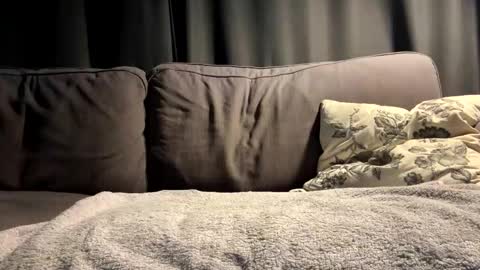 BlIdoL online show from 09.25.25