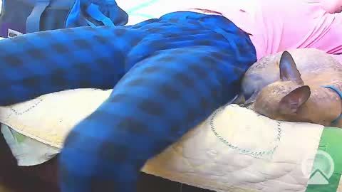 First Time College Boy online show from 02.13.25