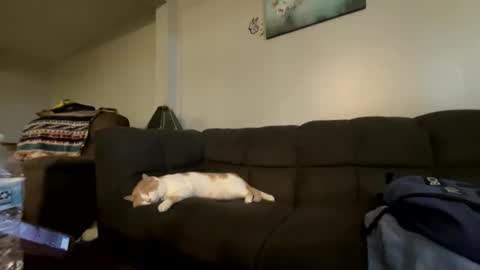 Snapshot of bluebloodednorsewitch chatting on 10.16.25 bluebloodednorsewitch online show from 10.16.25