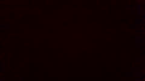 Snapshot of bluegum00 chatting on 11.04.25 bluegum00 online show from 11.04.25