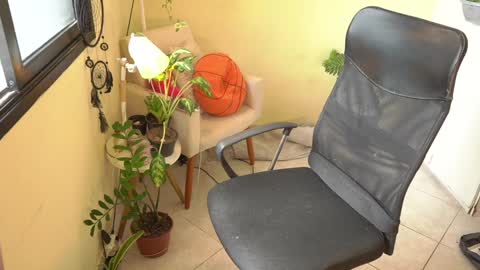 FLORAA online show from 01.15.25