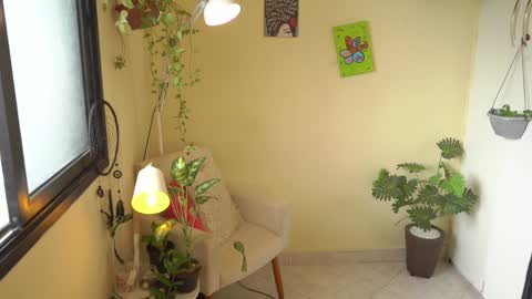 FLORAA online show from 01.26.25