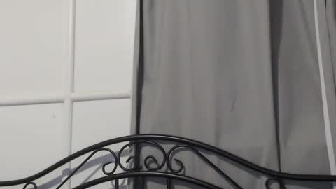 Snapshot of bob123478 chatting on 12.15.24 bob online show from 12.15.24