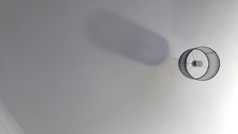 Snapshot of bobby160968 chatting on 11.19.25 bobby160968 online show from 11.19.25