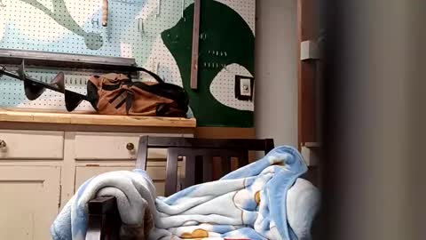 bobmarleybd1420 online show from 04.11.26