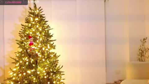 danna online show from 12.11.24