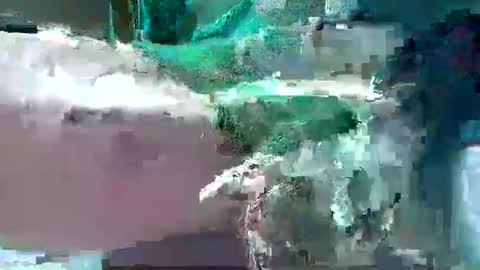 bogey58 online show from 02.12.25