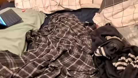 boiwithpussy online show from 02.16.25