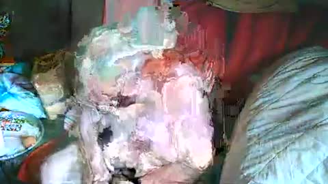 Bomber59potsdam online show from 03.02.25