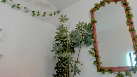   online show from 03.19.26