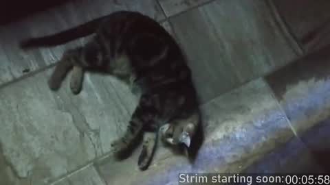 Booker Baxton online show from 02.15.25