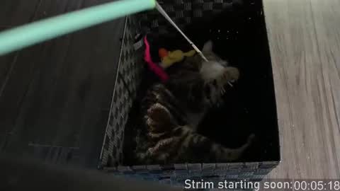 Booker Baxton online show from 10.04.25