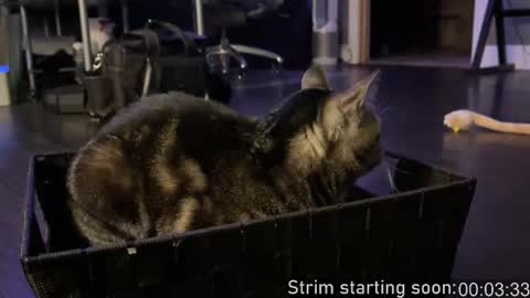 Booker Baxton online show from 10.11.25