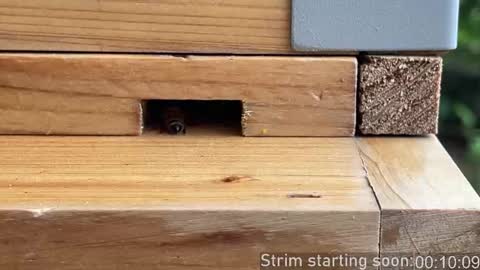 Booker Baxton online show from 10.22.25