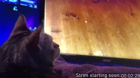 Booker Baxton online show from 11.16.25