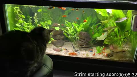 Booker Baxton online show from 12.05.25