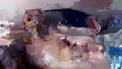 boomer64814390 online show from 07.12.26