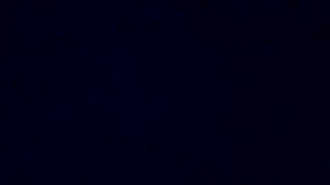 boredaf6678 online show from 12.14.24